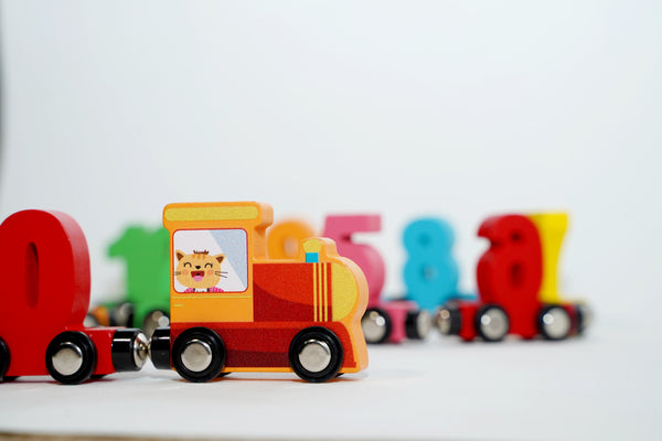 Magnetic Train